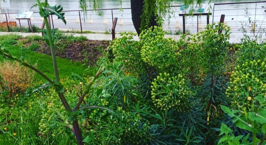 Mon arbre, ma maison Garonne