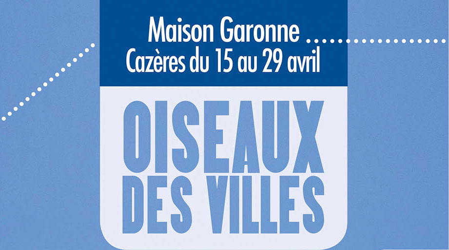 Expo Oiseaux des villes Maison Garonne Cazères
