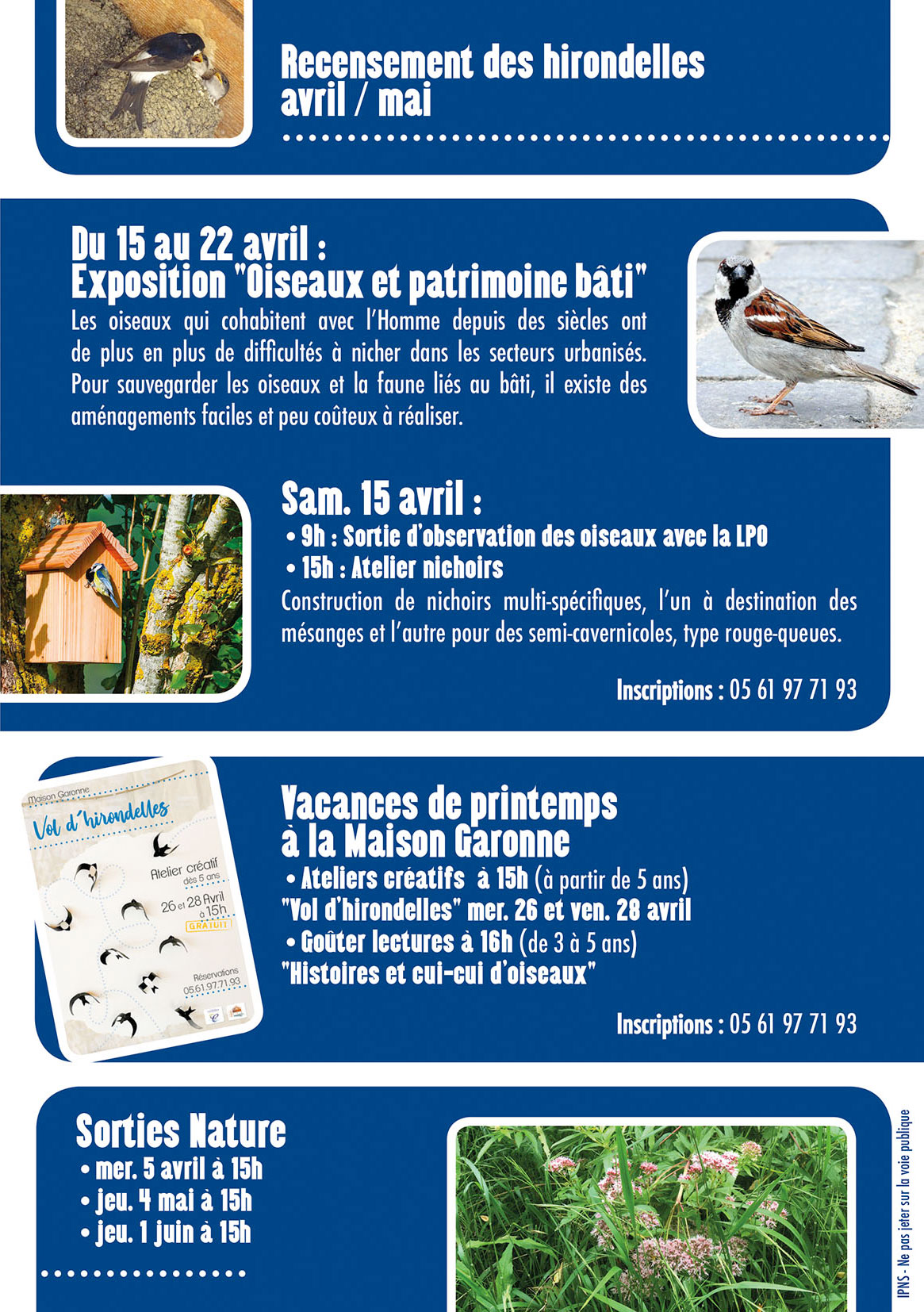 Programme Expo Oiseaux des villes Maison Garonne Cazères